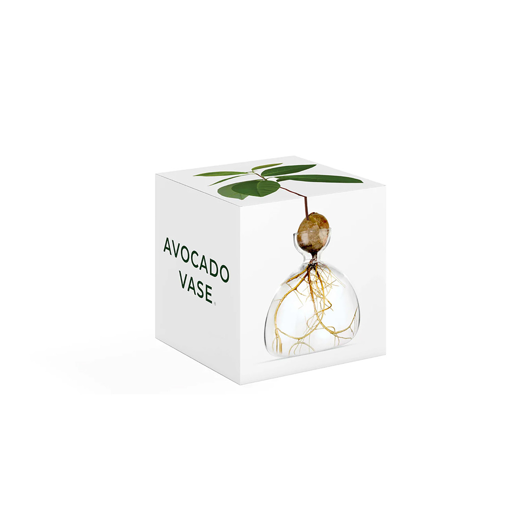 Avocado vase - Image 2