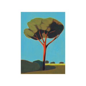 Poster Pinetree in Toscana 30x40