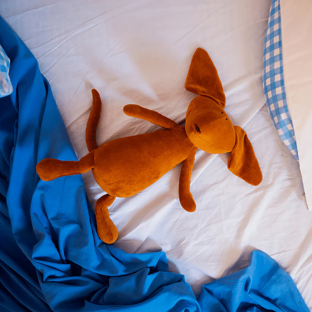 Dackel Scott Gross – Bild 2