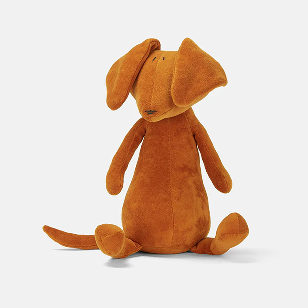 Dackel Scott Gross – Bild 3